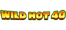 Wild Hot 40 slot